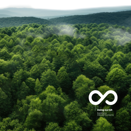 The Circular Economy and the Future of Sustainable Business Beyond Net Zero