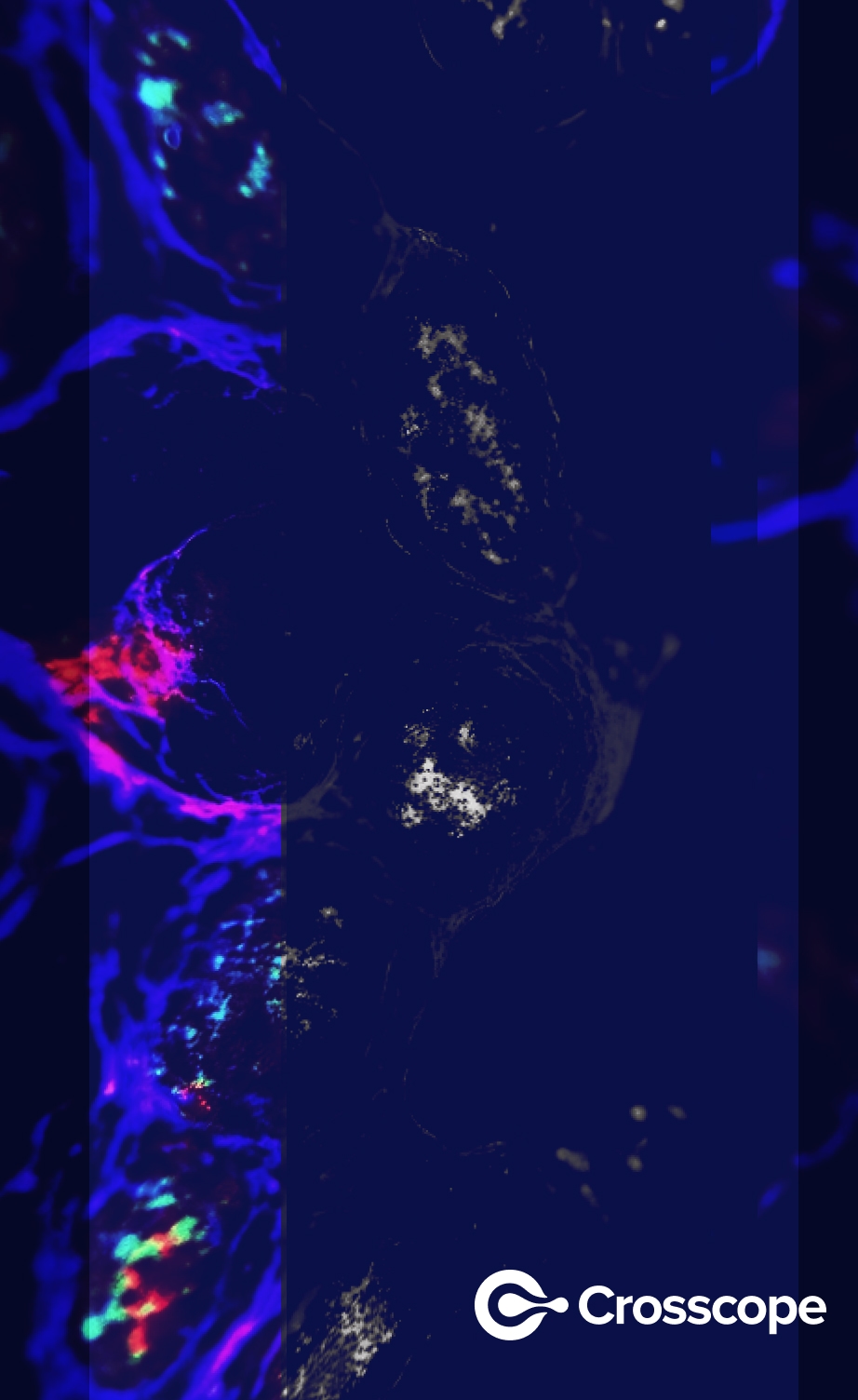 Clarient Redefining Digital Pathology for the AI Era